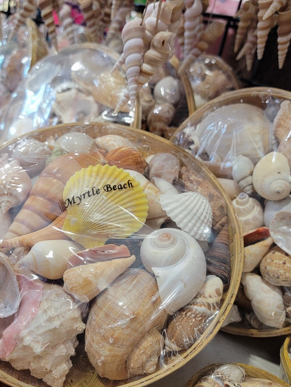 Seashells Assortment Bowl Basket - Natural Beige, White, Yellow